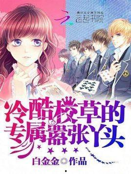 娱乐吃瓜丫头小说